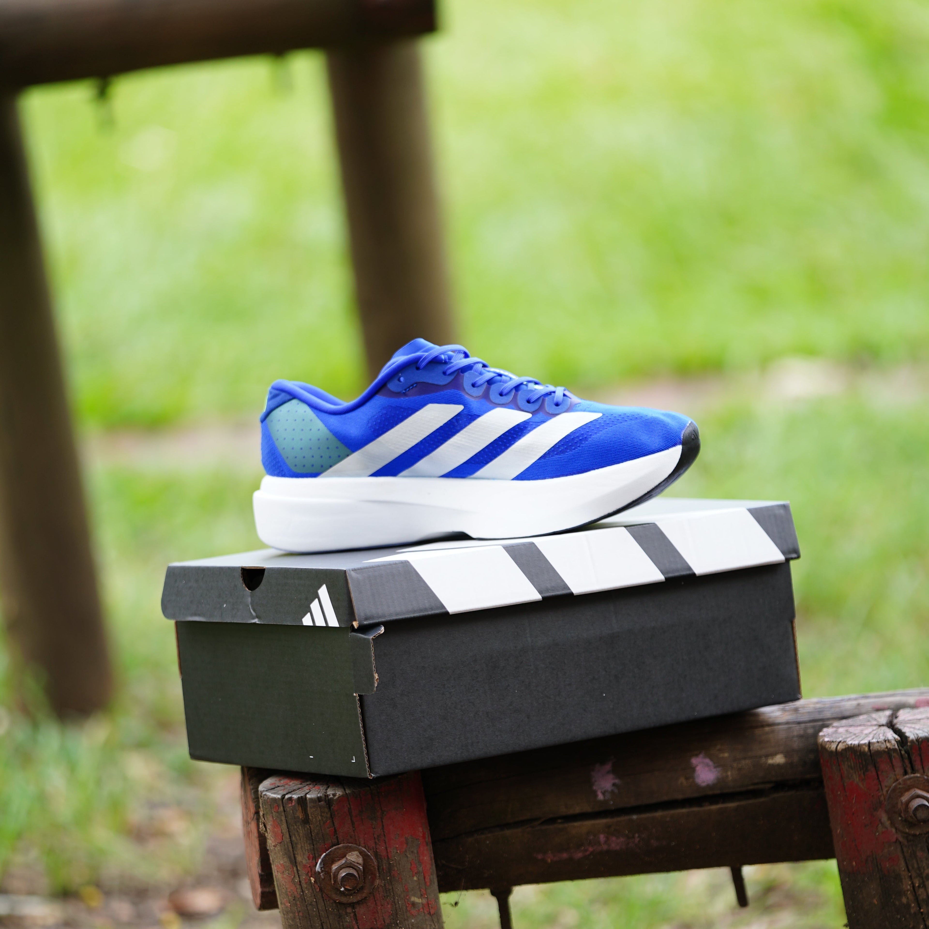 Adidas Adizero Evo SL running 