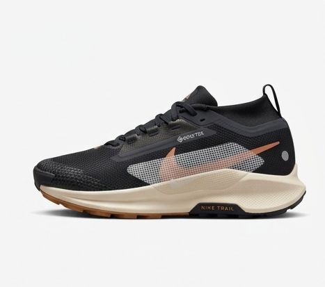 NIKE PEGASUS TRAIL 4 GORETEX NEGRO BEISH
