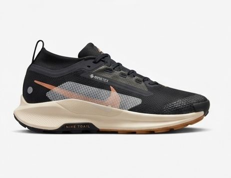 NIKE PEGASUS TRAIL 4 GORETEX NEGRO BEISH