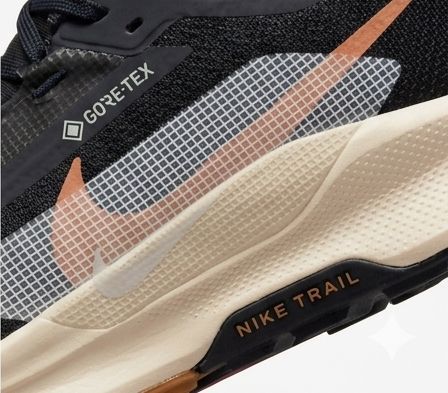 NIKE PEGASUS TRAIL 4 GORETEX NEGRO BEISH